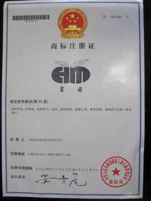 中國首個品牌日 | 金山品牌農產品&ldquo;大閱兵&rdquo;