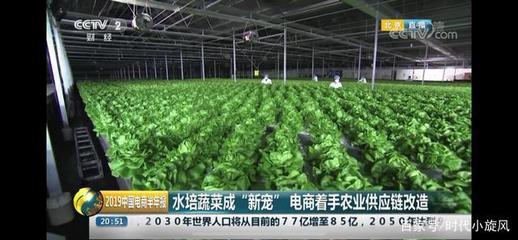 央視點贊 產銷一體化新模式，京東植物工廠為農業發展提供新思路